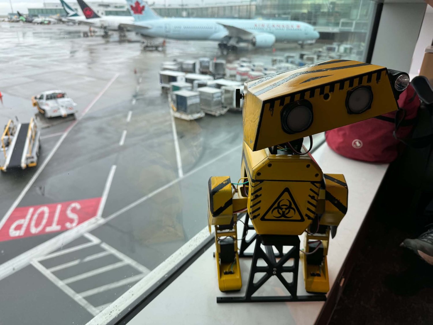 WD-L35 "Waddles" photo 2